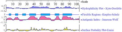 Vaccination with recombinant Toxoplasma gondii bradyzoite-formation deficient 1 (rTgBFD1) antigen provides partial protective immunity against chronic T. gondii infection